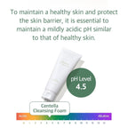 mixsoon Centella Cleansing Foam 5.07 fl oz/ 150mlLow pH cleansing foam for soothing and moisturization