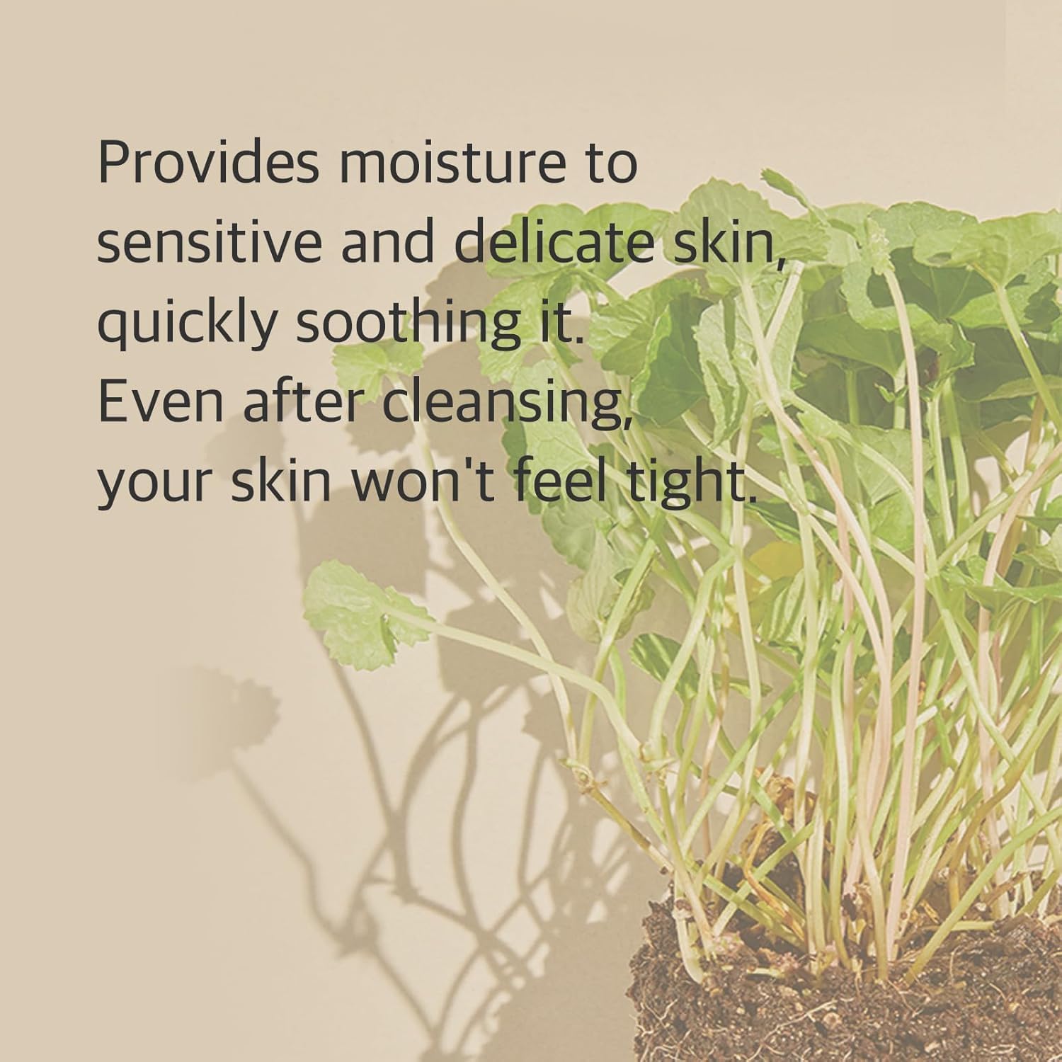 mixsoon Centella Cleansing Foam 5.07 fl oz/ 150mlLow pH cleansing foam for soothing and moisturization